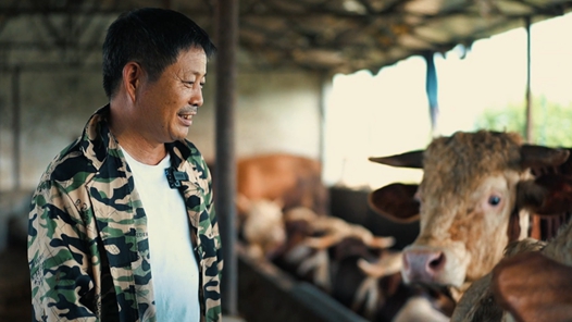 牛棚里的守望者