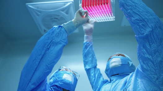 匠心筑夢(mèng)：一粒糖丸的守護(hù)傳奇