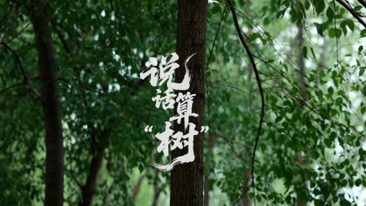 說(shuō)話算“樹”