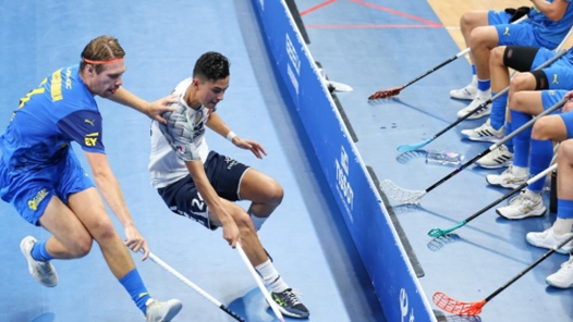 成都世運(yùn)會(huì)丨軟式曲棍球——男子預(yù)賽：瑞典隊(duì)勝菲律賓隊(duì)