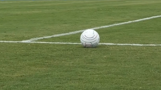 草地驚現(xiàn)“拳頭炮彈”！你見(jiàn)過(guò)浮士德球嗎？