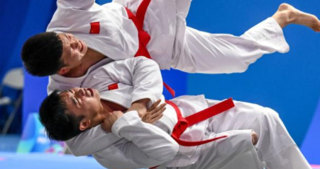 中國(guó)殘疾人柔術(shù)斬獲1金1銀