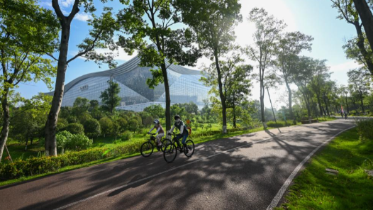 成都世運(yùn)會(huì)丨文化活動(dòng)異彩紛呈 多元交流展現(xiàn)城市魅力