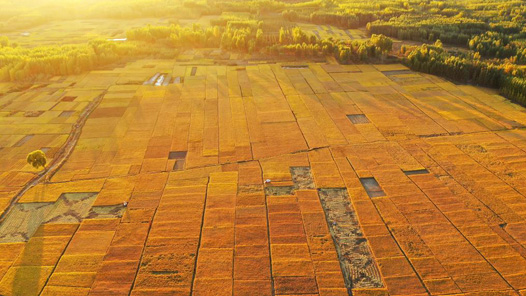 銘記歷史 緬懷先烈·今昔巨變丨隴東糧倉崛起現(xiàn)代新城