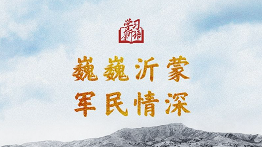 學(xué)習(xí)新語(yǔ)·抗戰(zhàn)｜巍巍沂蒙 軍民情深