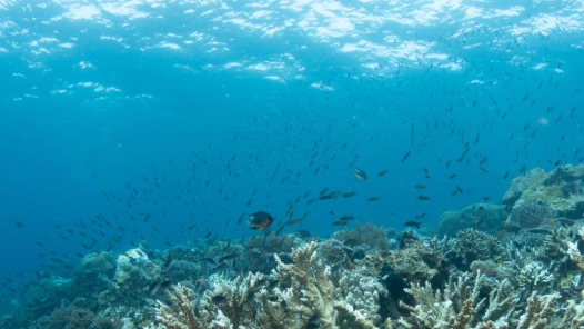 高質(zhì)量完成“十四五”規(guī)劃丨我國海洋生產(chǎn)總值已突破10萬億元