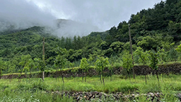 連續(xù)報(bào)道·報(bào)效祖國(guó) 建功西部丨用心里的火，點(diǎn)亮夢(mèng)想的燈