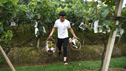 山東計劃培育一批鄉(xiāng)村新產(chǎn)業(yè)新業(yè)態(tài)帶頭人