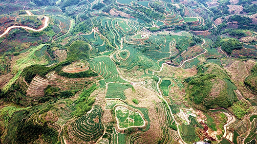 高質(zhì)量完成“十四五”規(guī)劃｜我國脫貧攻堅成果得到鞏固和拓展