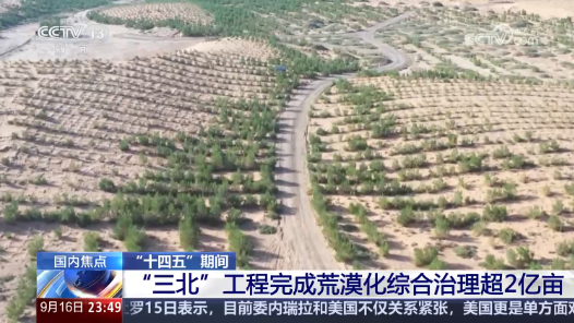 “十四五”期間 “三北”工程完成荒漠化綜合治理超2億畝
