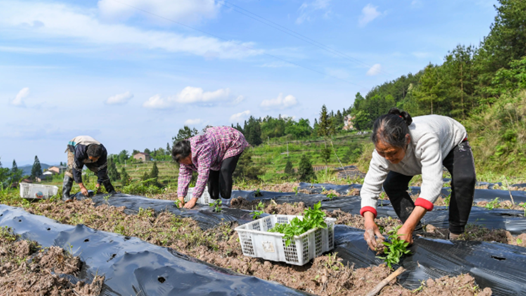 山西省總工會(huì)開展“中國農(nóng)民豐收節(jié)”慰問活動(dòng)