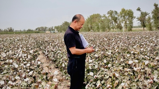 中國夢·大國工匠篇丨練文明：“種”出來的勞模工匠