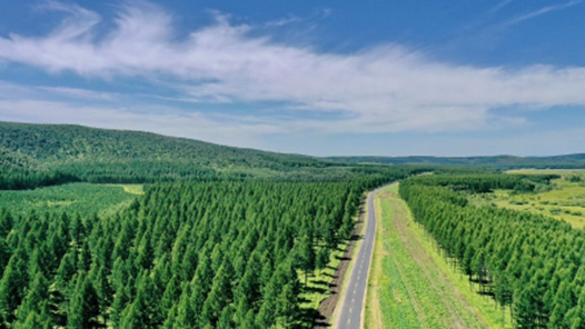 敢作敢為 善作善成——“社會(huì)主義是干出來(lái)的”系列述評(píng)之二