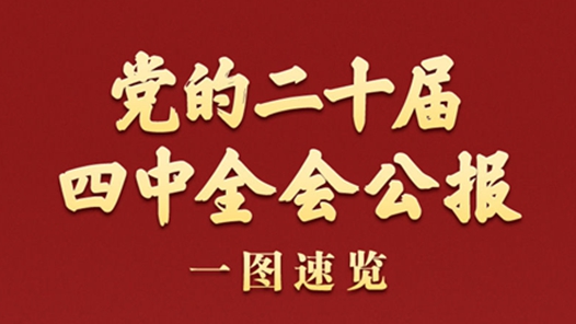 學(xué)習(xí)新語丨黨的二十屆四中全會公報一圖速覽