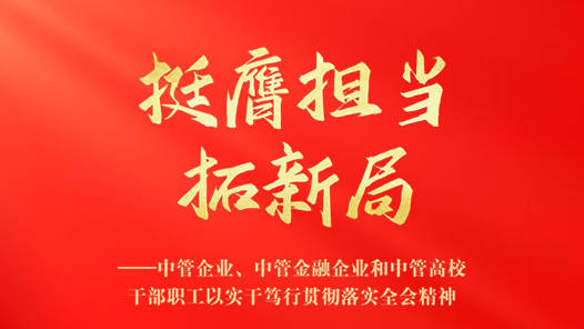 挺膺擔(dān)當(dāng)拓新局——中管企業(yè)、中管金融企業(yè)和中管高校干部職工以實(shí)干篤行貫徹落實(shí)全會(huì)精神