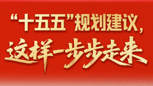 “十五五”規(guī)劃建議，這樣一步步走來