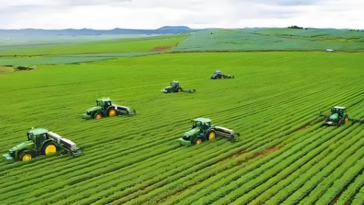 “十四五”，我們見證這些硬核突破｜從粒粒良種，到倉廩充盈