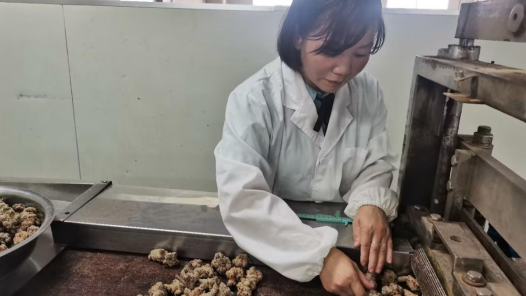 李愛紅：23年一刀一藥的匠人心事