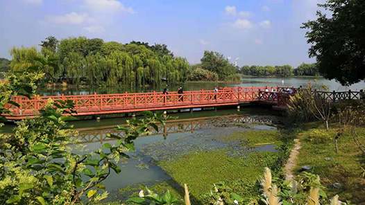 寧夏工會開展“追尋紅色印記”療休養(yǎng)活動