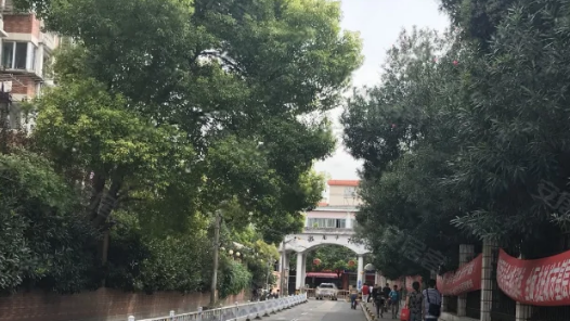 貫徹四中全會(huì)精神一線(xiàn)見(jiàn)聞｜社區(qū)治理來(lái)了“生力軍”