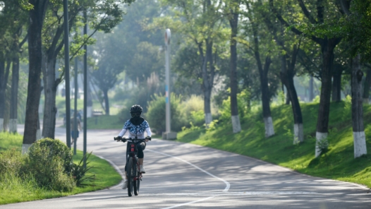 新華鮮報·“十四五”發(fā)展亮點｜中國“調(diào)色盤”增新綠！森林覆蓋率超25%