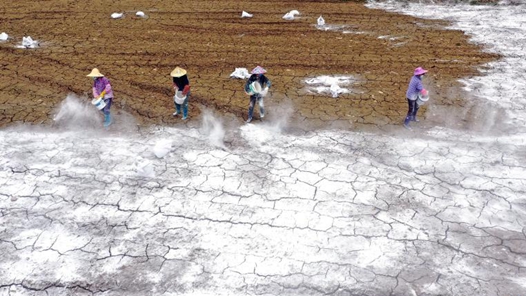 農(nóng)業(yè)農(nóng)村部：“十四五”期間新建改造提升高標準農(nóng)田4.6億畝