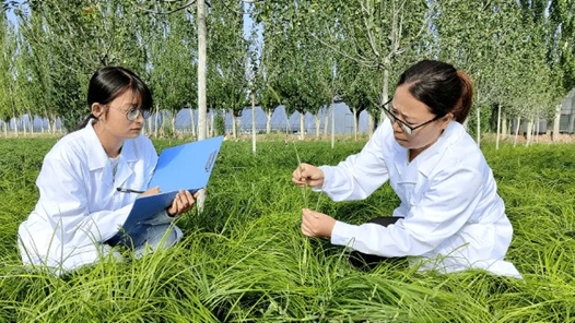 “十四五”我國收集保存林草種質(zhì)資源14.74萬份