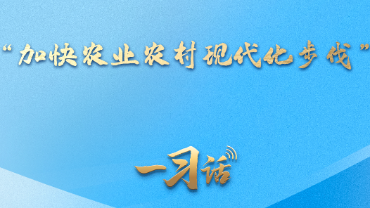 一習(xí)話·邁向“十五五”｜“加快農(nóng)業(yè)農(nóng)村現(xiàn)代化步伐”