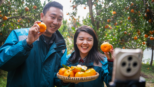 李強(qiáng)在政府工作報告中提出，扎實(shí)推進(jìn)鄉(xiāng)村全面振興