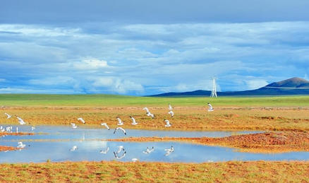 新春走基層·十村十年看長(zhǎng)江之變丨青海長(zhǎng)江源村：綠水青山不負(fù)“守護(hù)人”