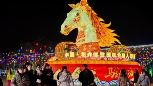 新春走基層｜立春賞燈年味濃 銀川花博園燈會(huì)引客流連