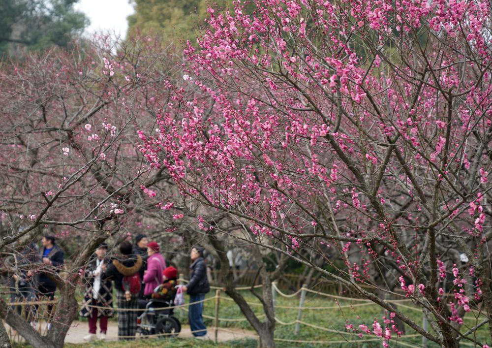 20260204693632520f404b3c943f80682fc57920_438eff792a324eb290708fef7fc79acf 20260204693632520f404b3c943f80682fc57920_438eff792a324eb290708fef7fc79acf