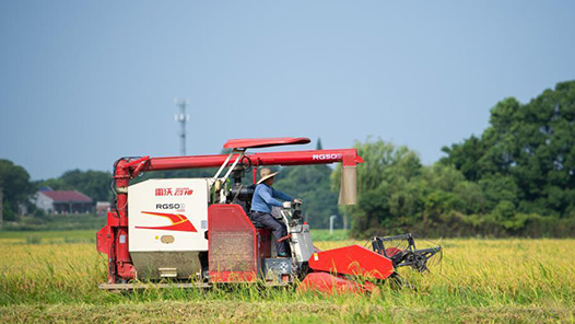 新春走基層｜產(chǎn)業(yè)興旺生態(tài)美 日子富足幸福長(zhǎng)