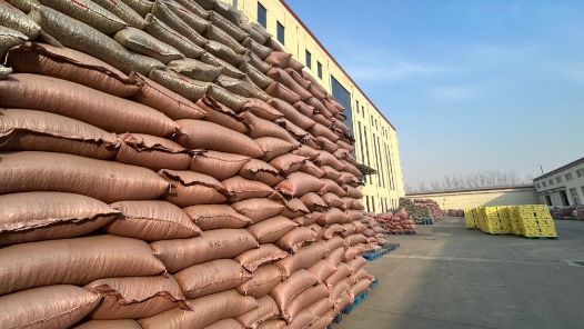 新春走基層｜產(chǎn)量占全國(guó)近三分之一，這座“炒貨小鎮(zhèn)”春節(jié)前更飄香