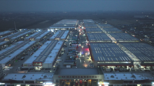 新春走基層·記者體驗(yàn)360行｜“95后”新農(nóng)人！大市場(chǎng)里的新買手