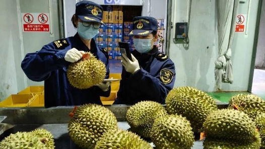 新春走基層丨15秒通關(guān)瓜果香