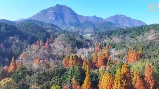 新春走基層｜鳥(niǎo)鳴聲映照綠水青山