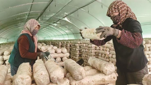 新春走基層·走進(jìn)西海固｜新民村：山海情續(xù)寫(xiě)新篇章