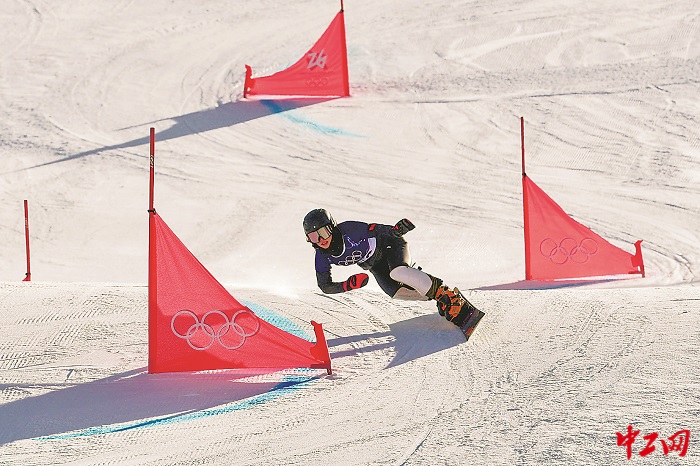 3344213_tpzz_1771859241480_b 3344213_tpzz_1771859241480_b