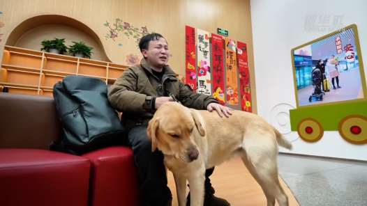 新春走基層｜春運(yùn)里的溫柔守護(hù)：導(dǎo)盲犬“拿鐵”與視障旅客的暖心旅途