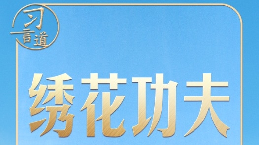 習(xí)近平的兩會(huì)之喻｜城市管理應(yīng)該像繡花一樣精細(xì)