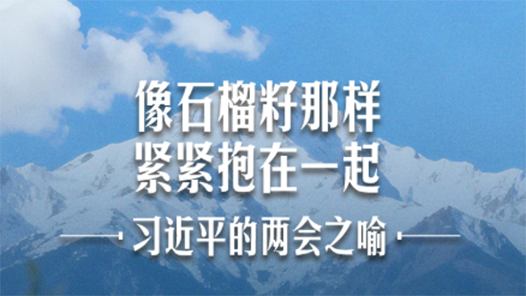習(xí)近平的兩會(huì)之喻｜像石榴籽那樣緊緊抱在一起
