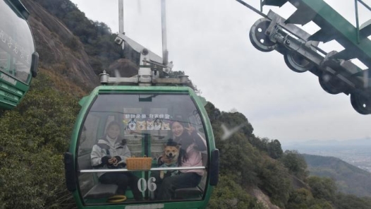 新春走基層｜“毛孩子”帶火長(zhǎng)三角小城旅游新賽道