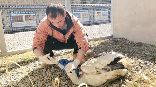 新春走基層丨搭建海拔2200米的“生命方舟”