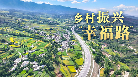 總書記的關(guān)心事｜鄉(xiāng)村振興“幸福路”