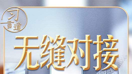 習(xí)近平的兩會(huì)之喻｜從“兩張皮”到“無(wú)縫對(duì)接”