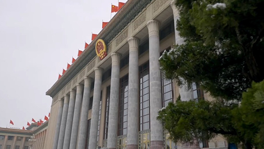 時(shí)政兩會(huì)說(shuō)｜探新路解新題 經(jīng)濟(jì)大省勇挑大梁——總書記同全國(guó)人大代表共商國(guó)是