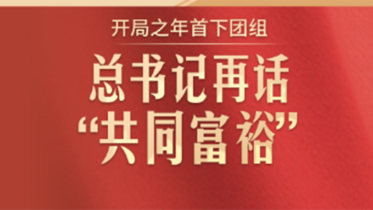此行間·開局之年首下團(tuán)組，總書記再話“共同富?！? title=