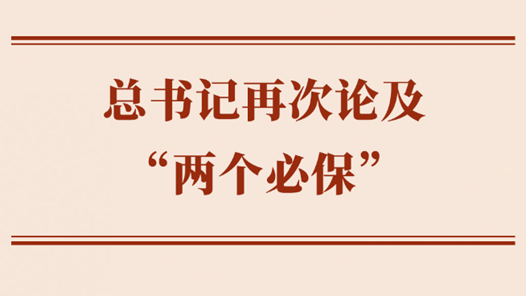 兩會(huì)學(xué)習(xí)手記｜總書記再次論及“兩個(gè)必?！? title=