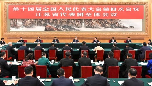 微鏡頭·習(xí)近平總書記兩會(huì)“下團(tuán)組”丨“好規(guī)劃和執(zhí)行力，這兩條要結(jié)合起來(lái)”